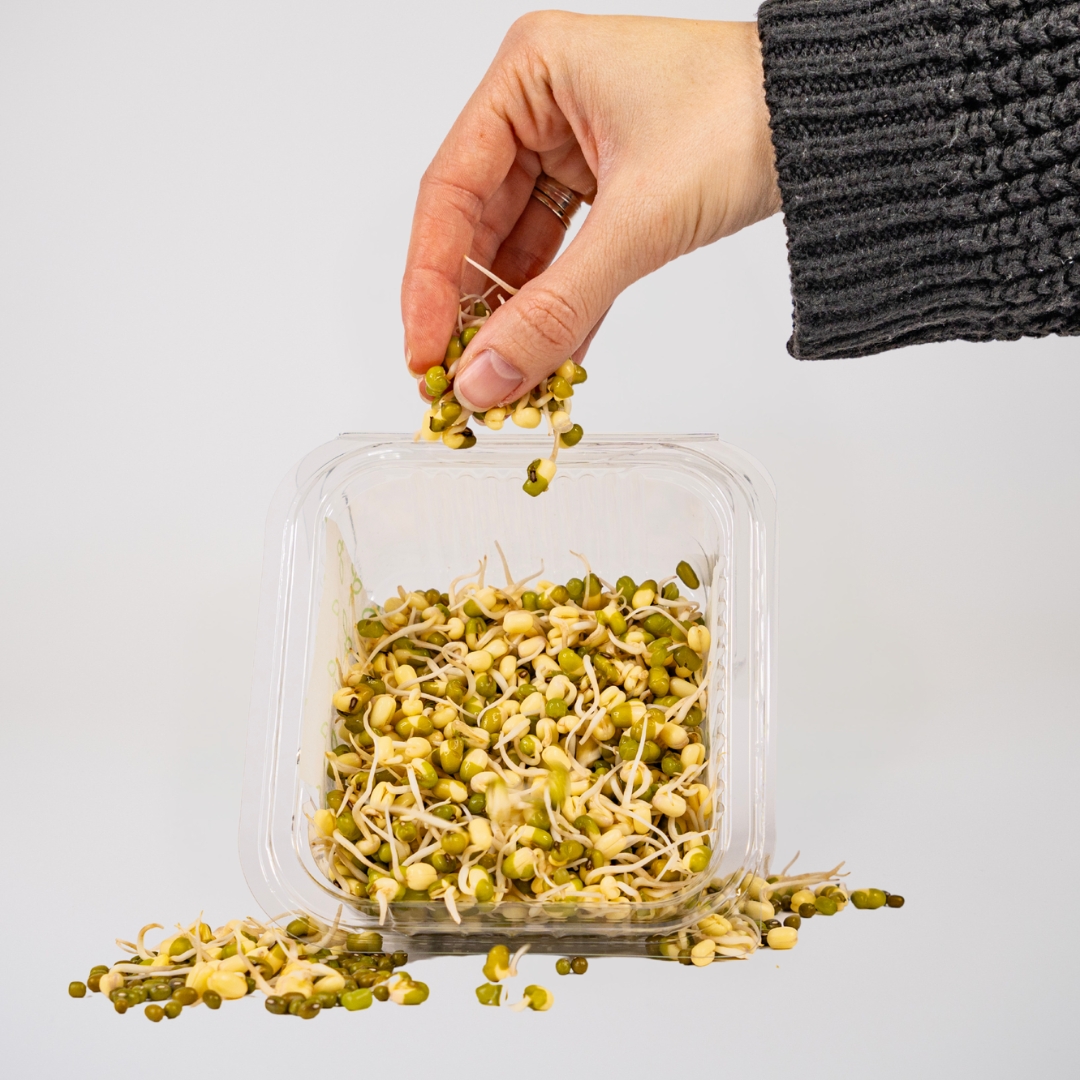 Mungo-pasulj-klice-budite-zdravi-grina-2 Mungo pasulj klice 75 grama - Slika 2