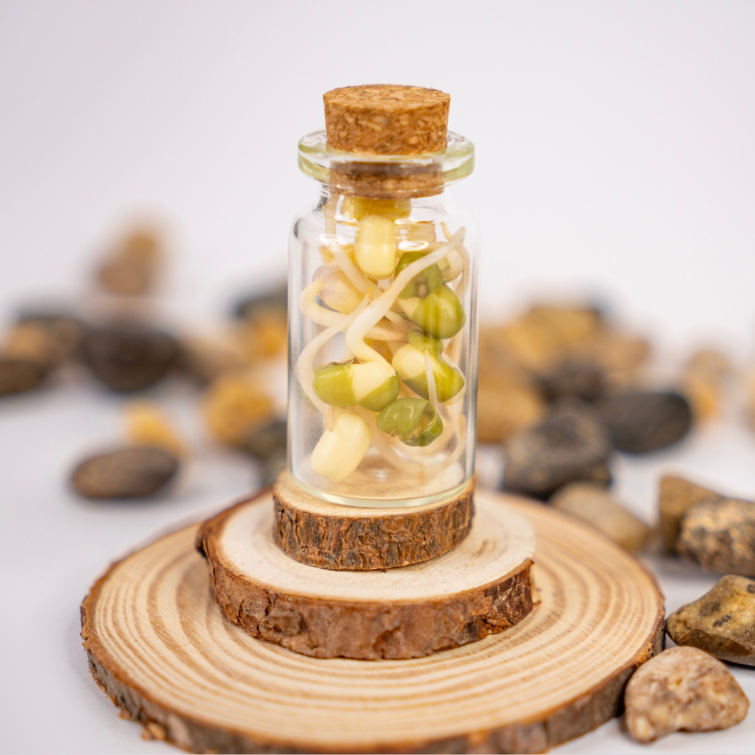 Mungo-pasulj-klice-budite-zdravi-grina-4 Mungo pasulj klice 75 grama - Slika 4